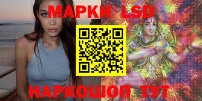 spice Заволжье