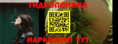 spice Заволжье