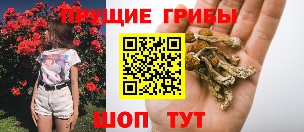 Галлюциногенные грибы Psilocybe  Вход с VPN  Лысьва 
